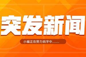 极速世界杯德国/巴拉圭vs法国/瑞典比分预测_极速世界杯德国/巴拉圭vs法国/瑞典比分预测在线观看_免费看直播