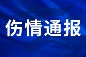极速北京国安vs辽宁铁人进球集锦_极速北京国安vs辽宁铁人进球集锦在线观看_免费看直播