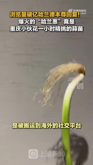 西班牙vs沙特阿拉伯直播低调看在线观看_西班牙vs沙特阿拉伯直播低调看在线观看在线观看_免费看直播